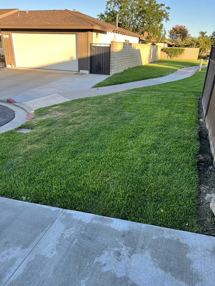 Expert yard maintenance for year-round maintenance across Long Beach, CA - Zepeda Landscaping and 24hr Irrigation Service