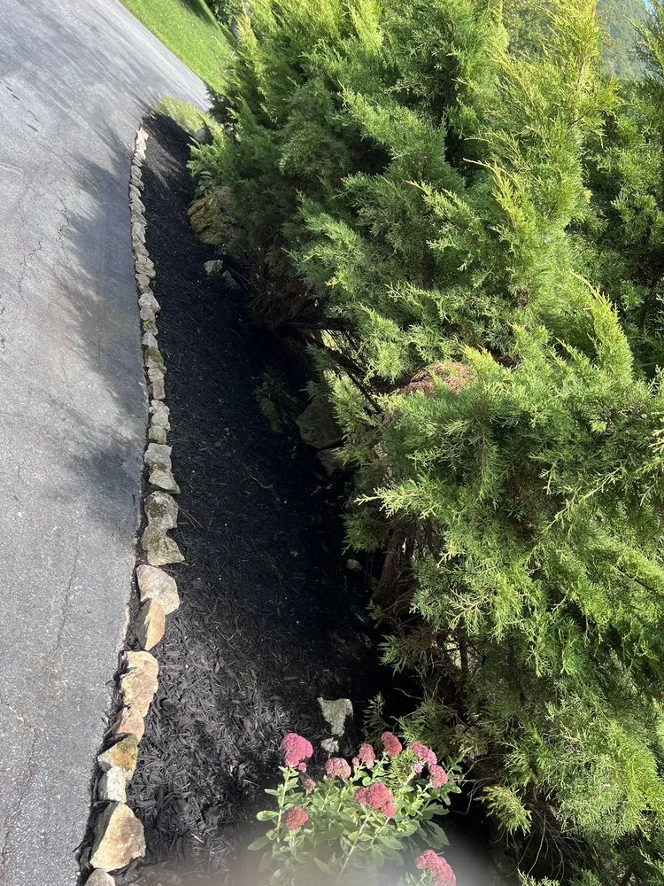 Custom landscape design in Long Beach, CA by Zepeda Landscaping and 24hr Irrigation Service