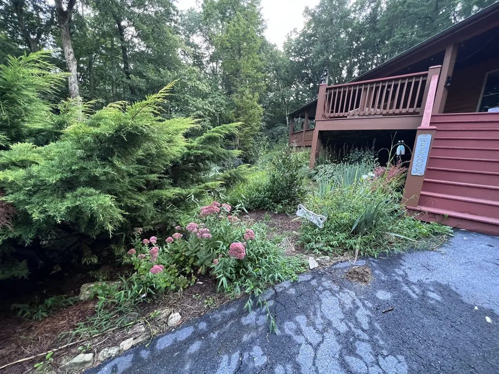 Professional landscape installation with custom design in Long Beach, CA by Zepeda Landscaping and 24hr Irrigation Service