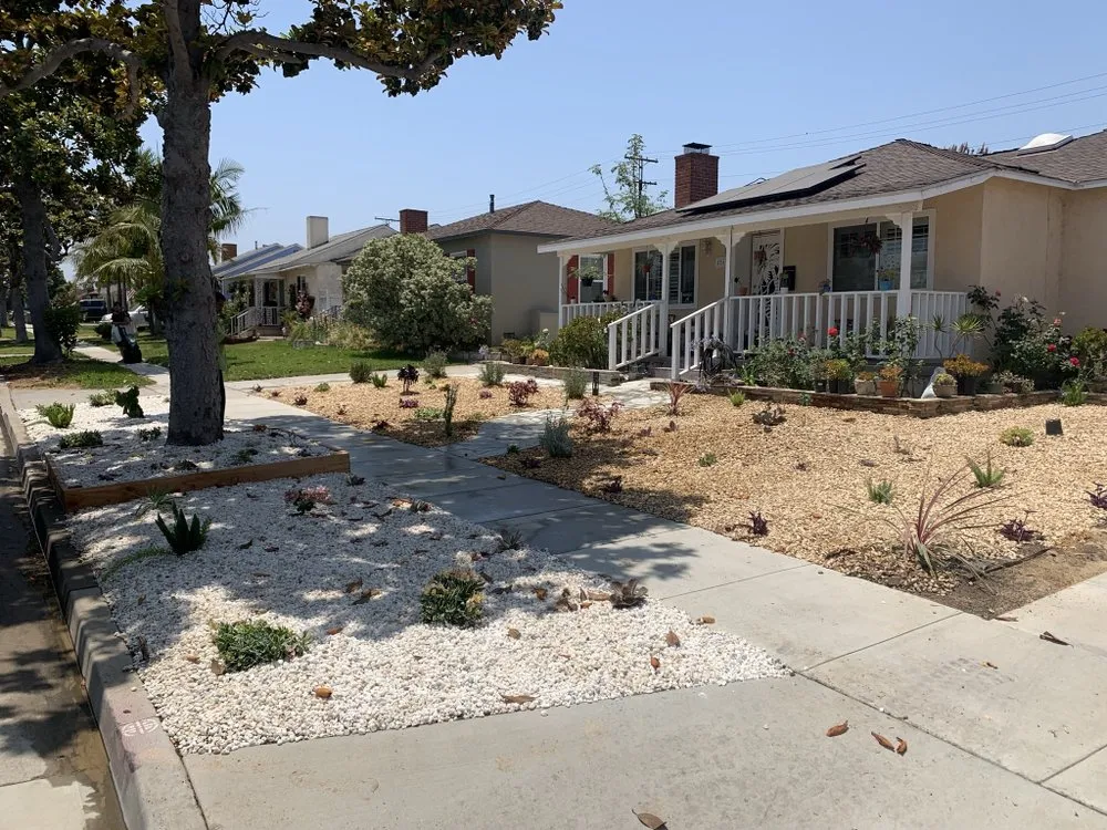 Custom yard maintenance in Long Beach, CA by Zepeda Landscaping and 24hr Irrigation Service