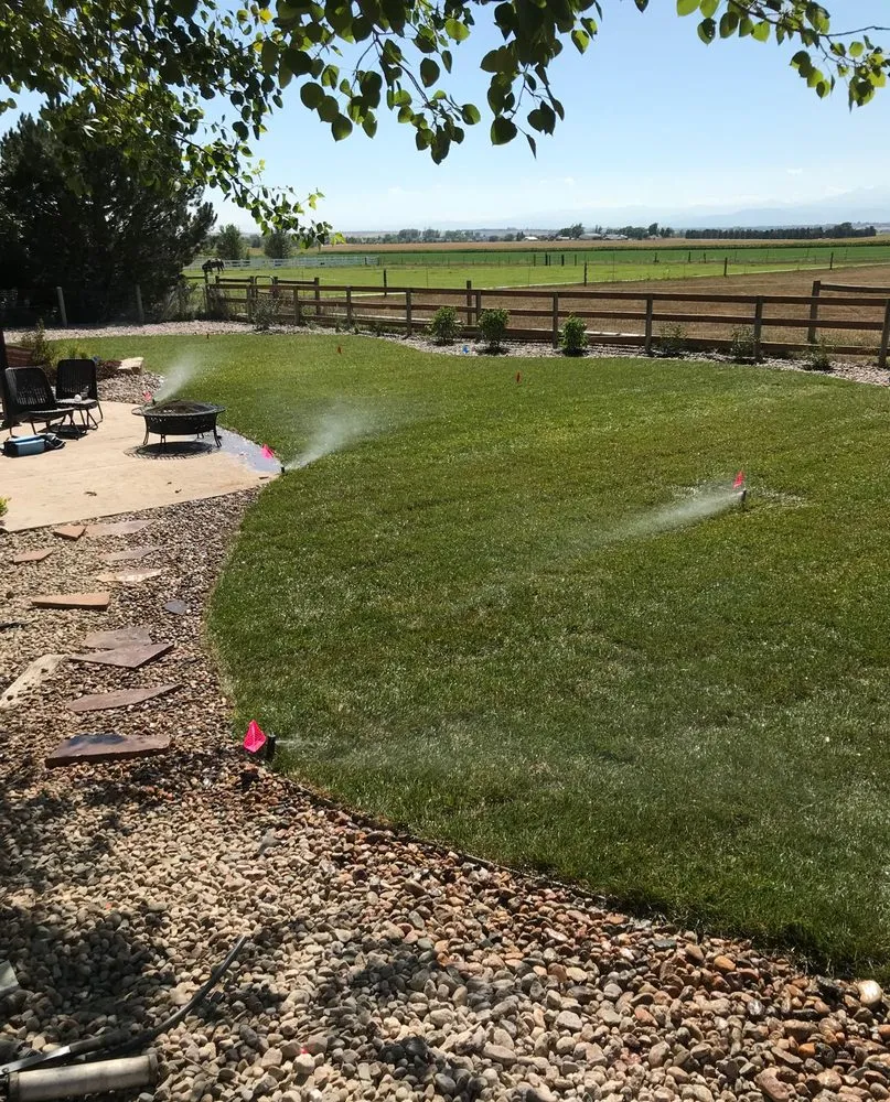 Custom yard cleanup service in Fort Collins, CO by Zepeda Landscaping