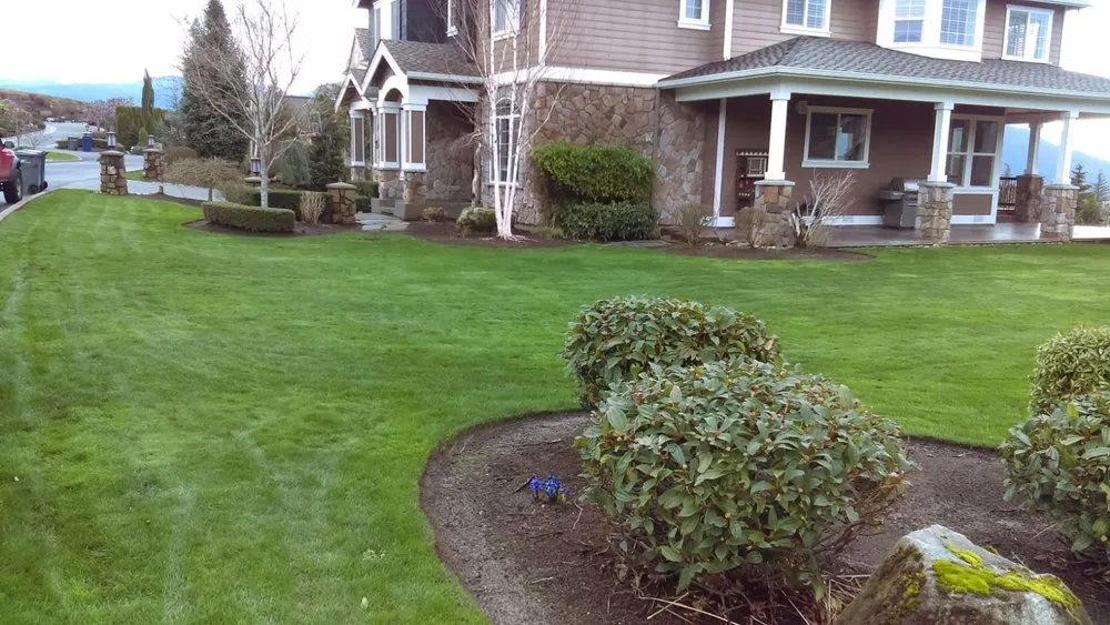 Top-rated lawn care service for homes in Renton, WA by Zepeda Landscaping