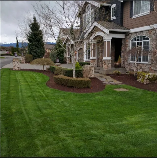 Expert yard cleanup service in Renton, WA - Zepeda Landscaping