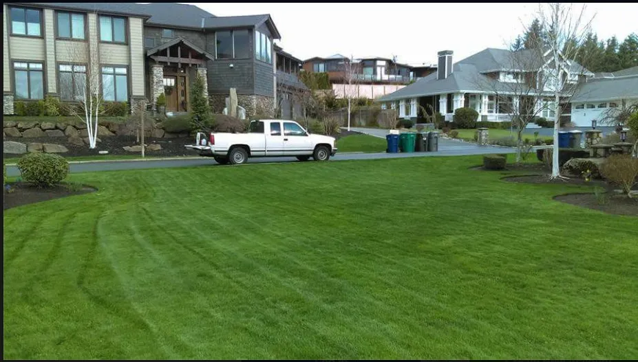 Local landscape installation for outdoor upgrades in Renton, WA by Zepeda Landscaping