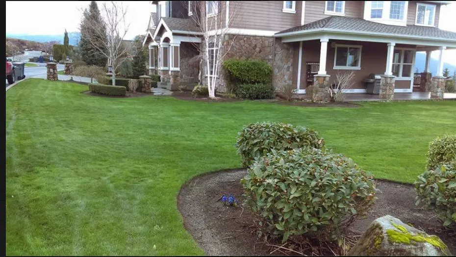 Expert yard cleanup service experts serving Renton, WA - Zepeda Landscaping