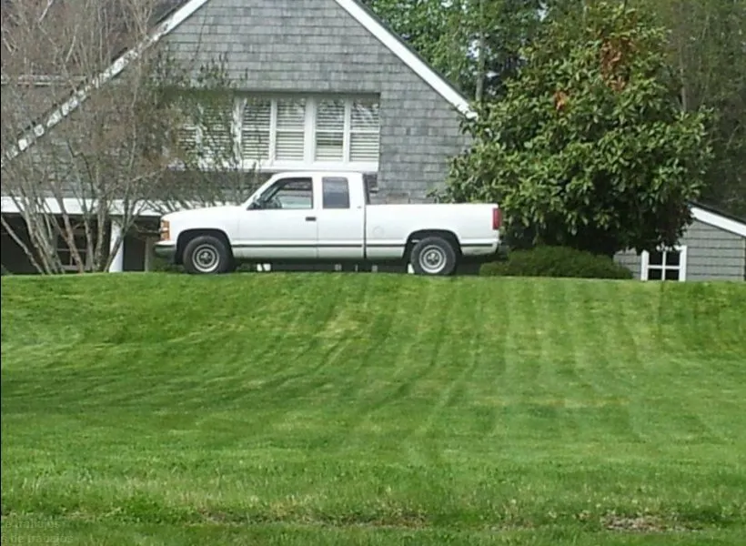 Reliable yard cleanup service experts serving Renton, WA - Zepeda Landscaping