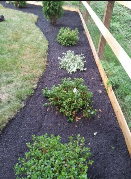 Trusted yard maintenance experts serving Renton, WA - Zepeda Landscaping