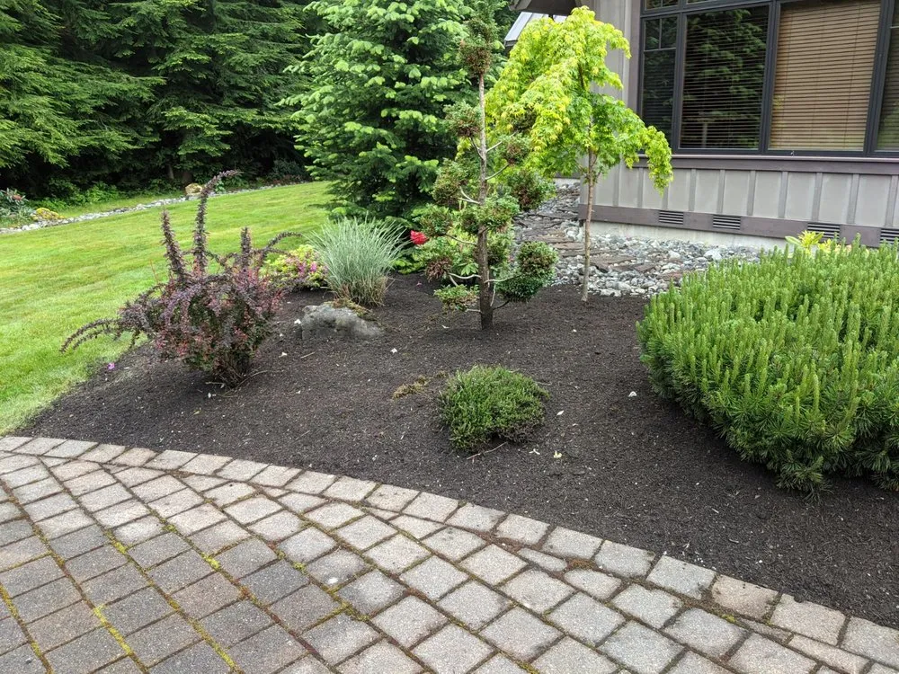 Expert yard cleanup service in Renton, WA - Zepeda Landscaping