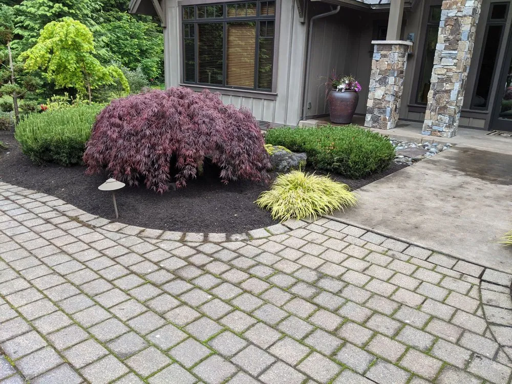 Expert yard maintenance experts serving Renton, WA - Zepeda Landscaping