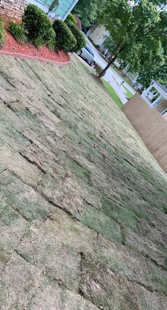 Local landscape design in Palmetto, GA by Zepeda