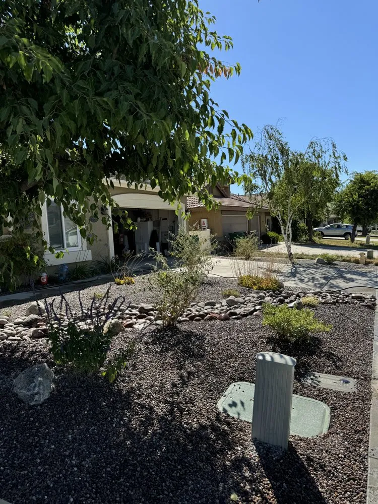 Trusted yard cleanup service in Temecula, CA by Zepeda’s Landscaping