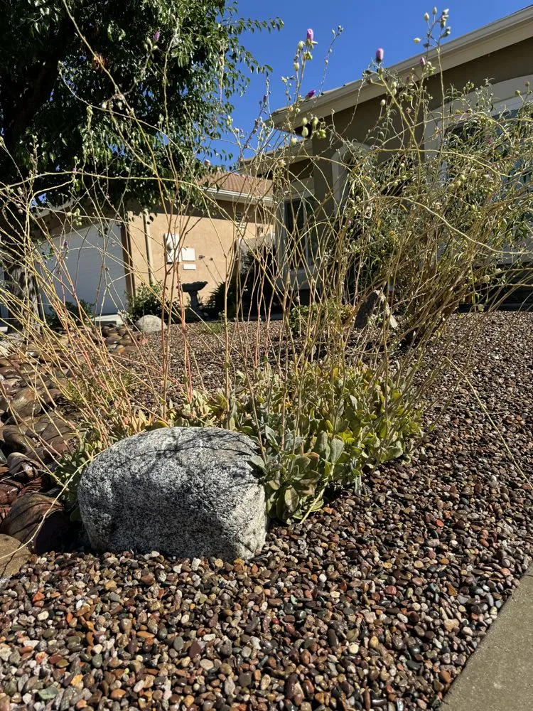 Expert outdoor landscaping experts serving Temecula, CA - Zepeda’s Landscaping