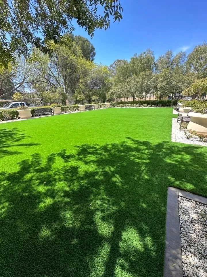 Local yard cleanup service near you across Temecula, CA - Zepeda’s Landscaping