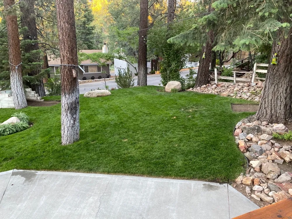 Professional landscape design experts serving Big Bear Lake, CA - Zepeda's Yard Maintenance
