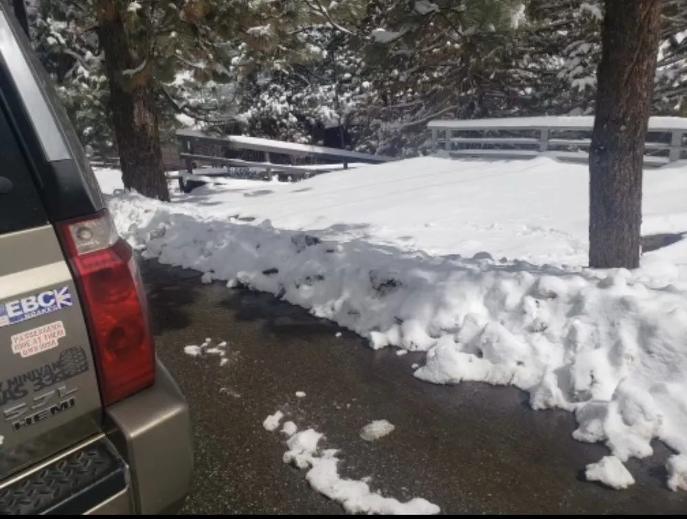 Top-rated yard cleanup service in Big Bear Lake, CA by Zepeda's Yard Maintenance