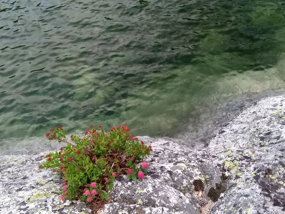 Reliable garden landscaping for residential properties in Hamilton, MT by Zephyr Home Solutions