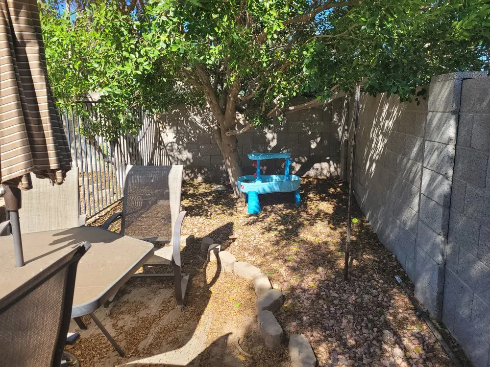 Professional outdoor landscaping for year-round maintenance across Avondale, AZ - Zephyr Landscaping
