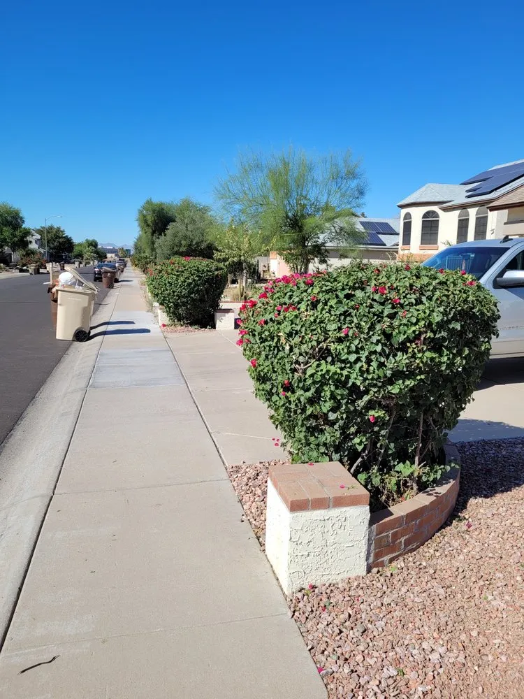 Expert landscape installation in Avondale, AZ by Zephyr Landscaping