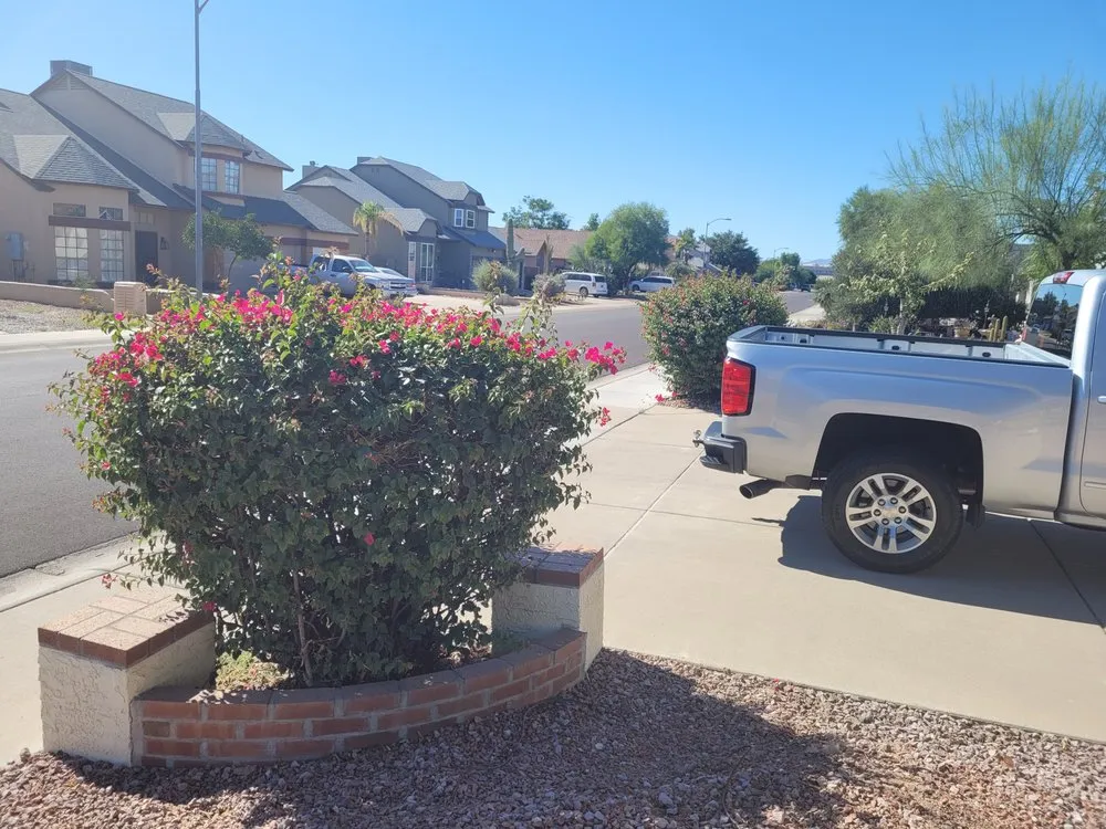 Custom yard maintenance near you in Avondale, AZ by Zephyr Landscaping