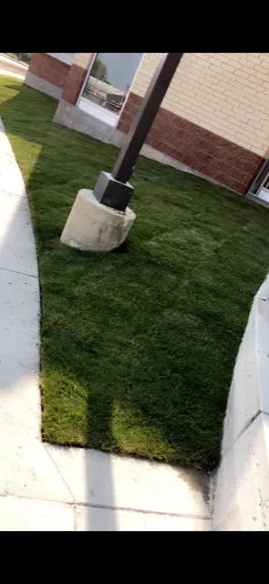 Professional yard cleanup service in Des Plaines, IL - Zerafin Landscaping