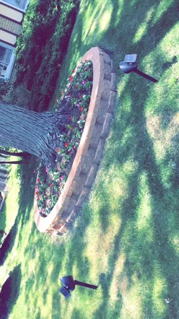 Custom residential landscaping in Des Plaines, IL by Zerafin Landscaping