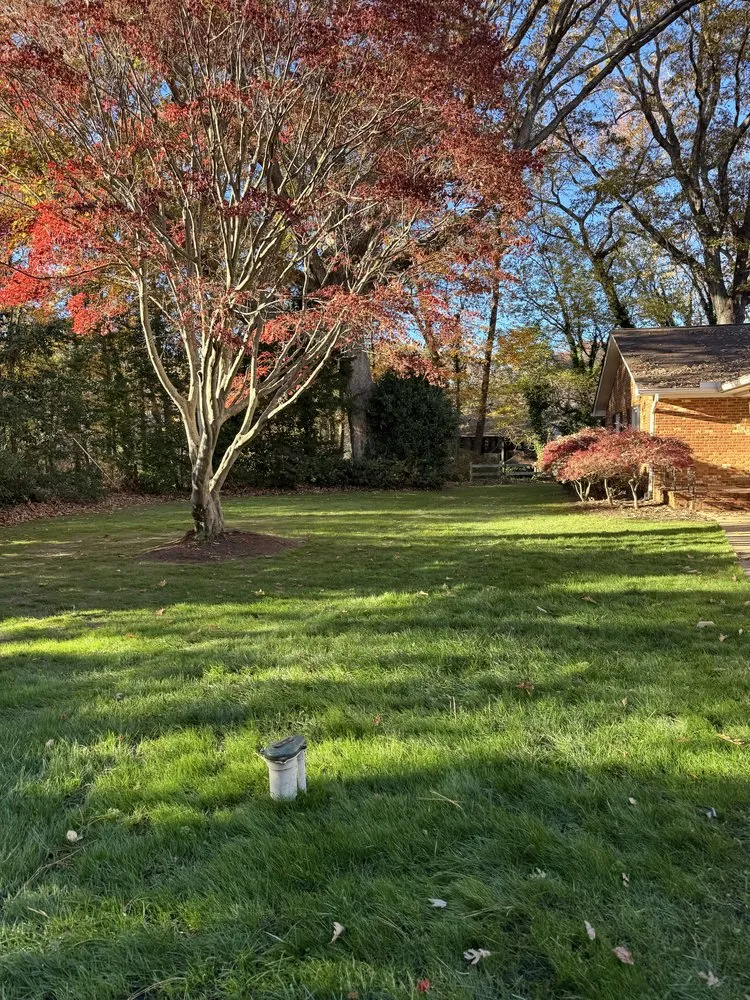 Local yard cleanup service near you across Virginia Beach, VA - Zero Trace