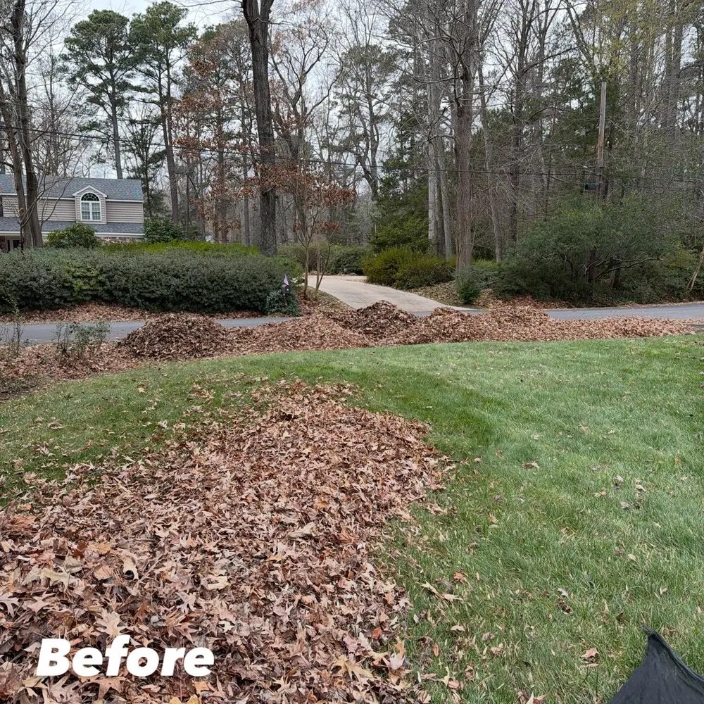 Affordable residential landscaping for homes across Virginia Beach, VA - Zero Trace
