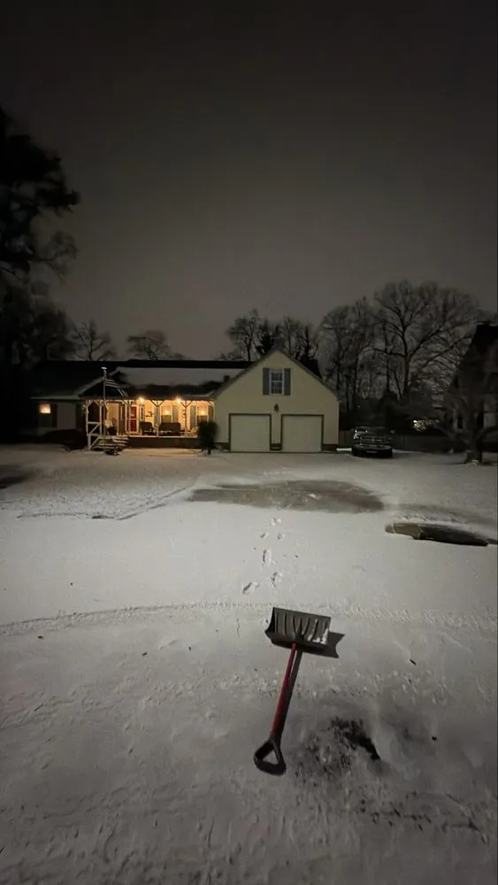 Custom yard cleanup service in Virginia Beach, VA - Zero Trace