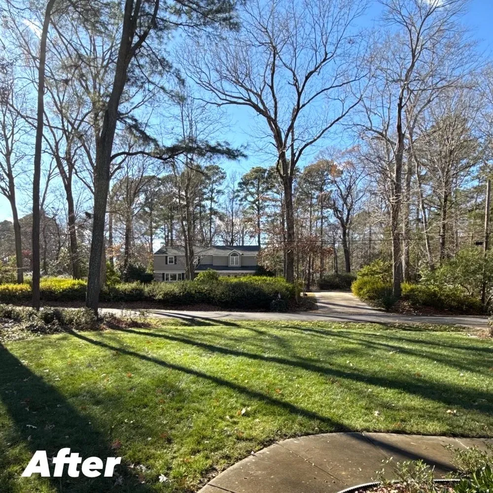 Top-rated yard maintenance experts serving Virginia Beach, VA - Zero Trace