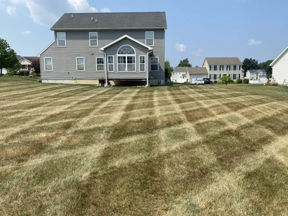 Trusted lawn mowing service experts serving Dover, PA - Zero Turn Property Solutions
