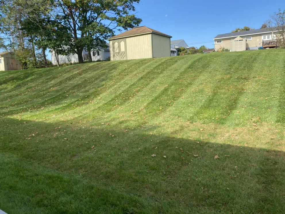 Top-rated landscape design for beautiful yards across Dover, PA - Zero Turn Property Solutions