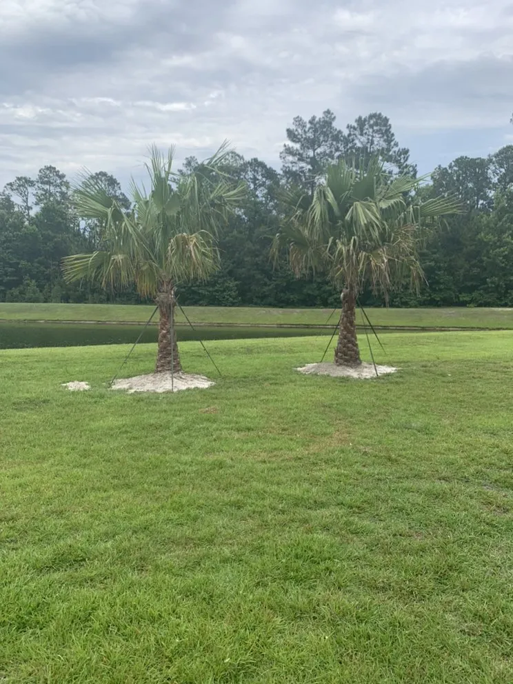 Professional residential landscaping in Fernandina Beach, FL by ZeroEM Lawn Care