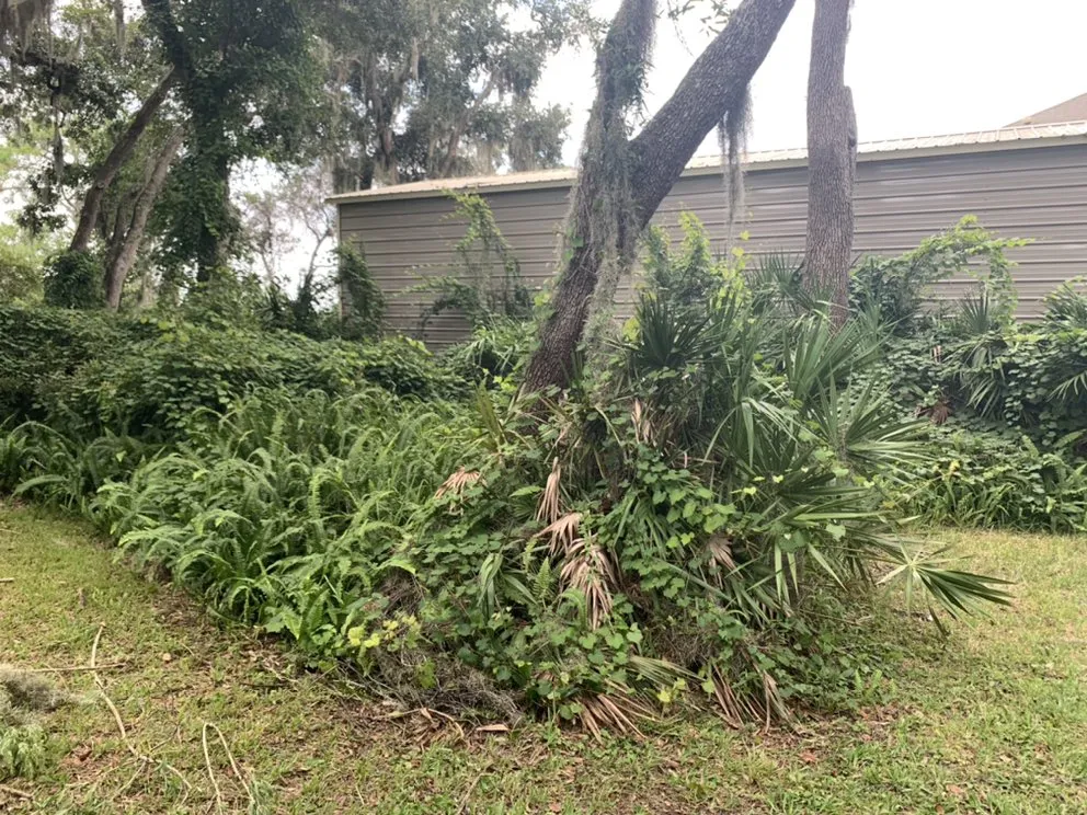 Professional landscaping services in Fernandina Beach, FL by ZeroEM Lawn Care