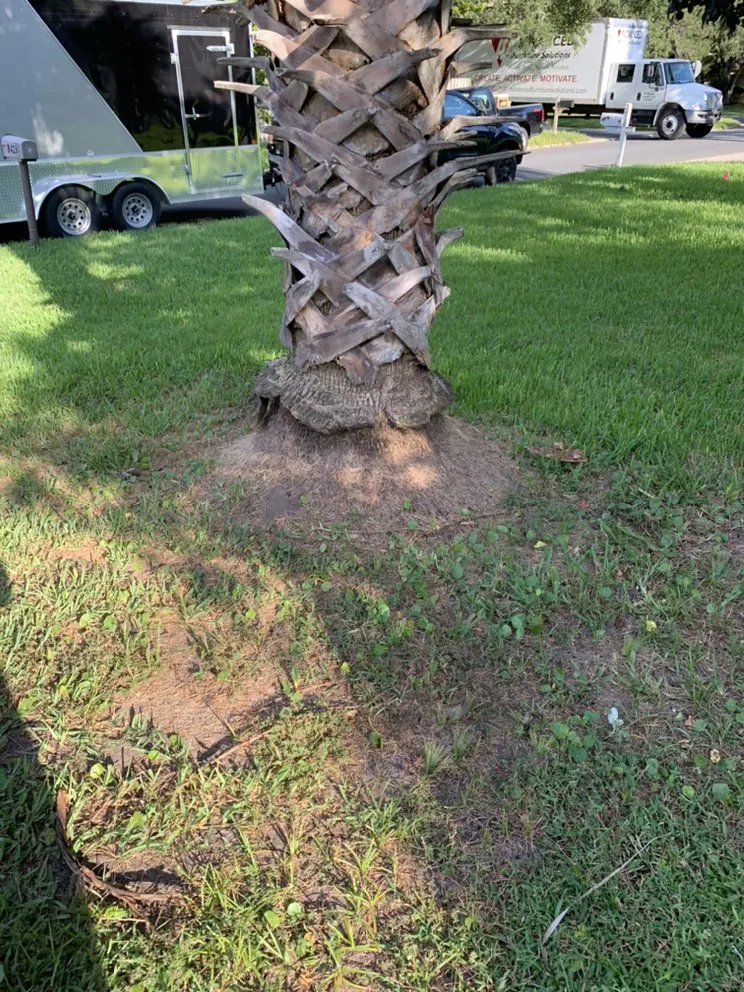 Professional outdoor landscaping experts serving Fernandina Beach, FL - ZeroEM Lawn Care