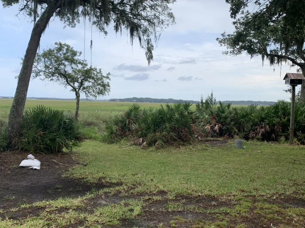 Expert landscape design in Fernandina Beach, FL - ZeroEM Lawn Care