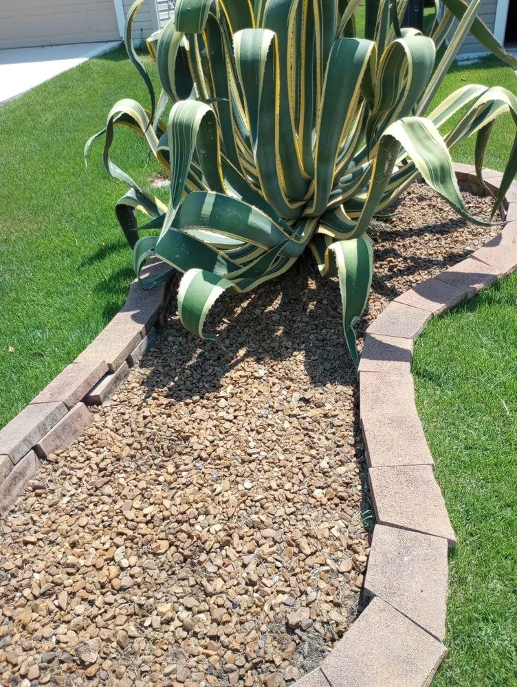 Top-rated yard maintenance in Ocala, FL - Zero’s Lawn & Landscaping