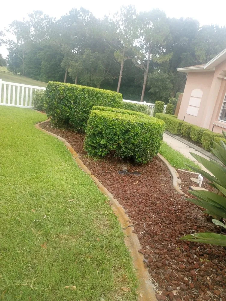 Custom lawn care service experts serving Ocala, FL - Zero’s Lawn & Landscaping