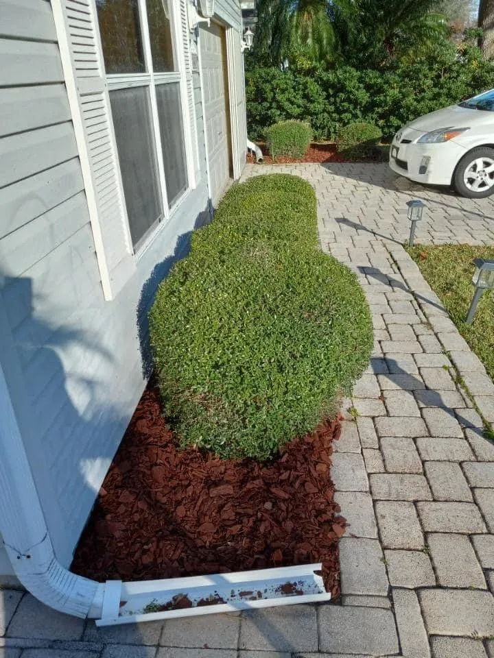 Local lawn care service for year-round maintenance across Ocala, FL - Zero’s Lawn & Landscaping