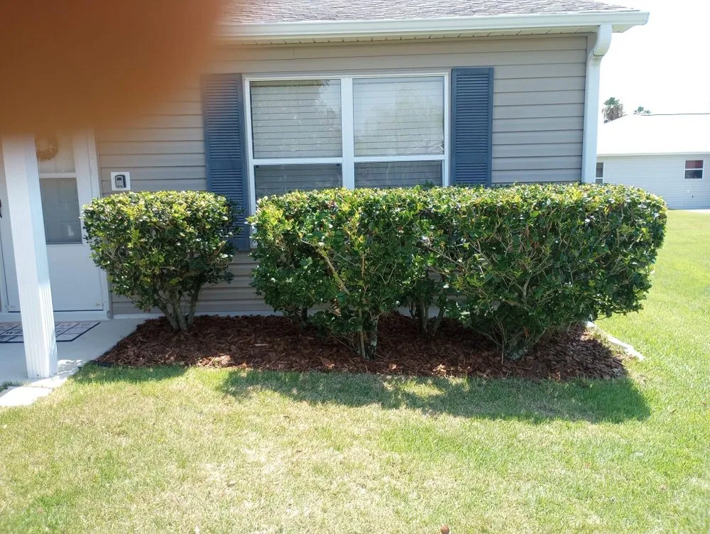 Affordable lawn mowing service experts serving Ocala, FL - Zero’s Lawn & Landscaping