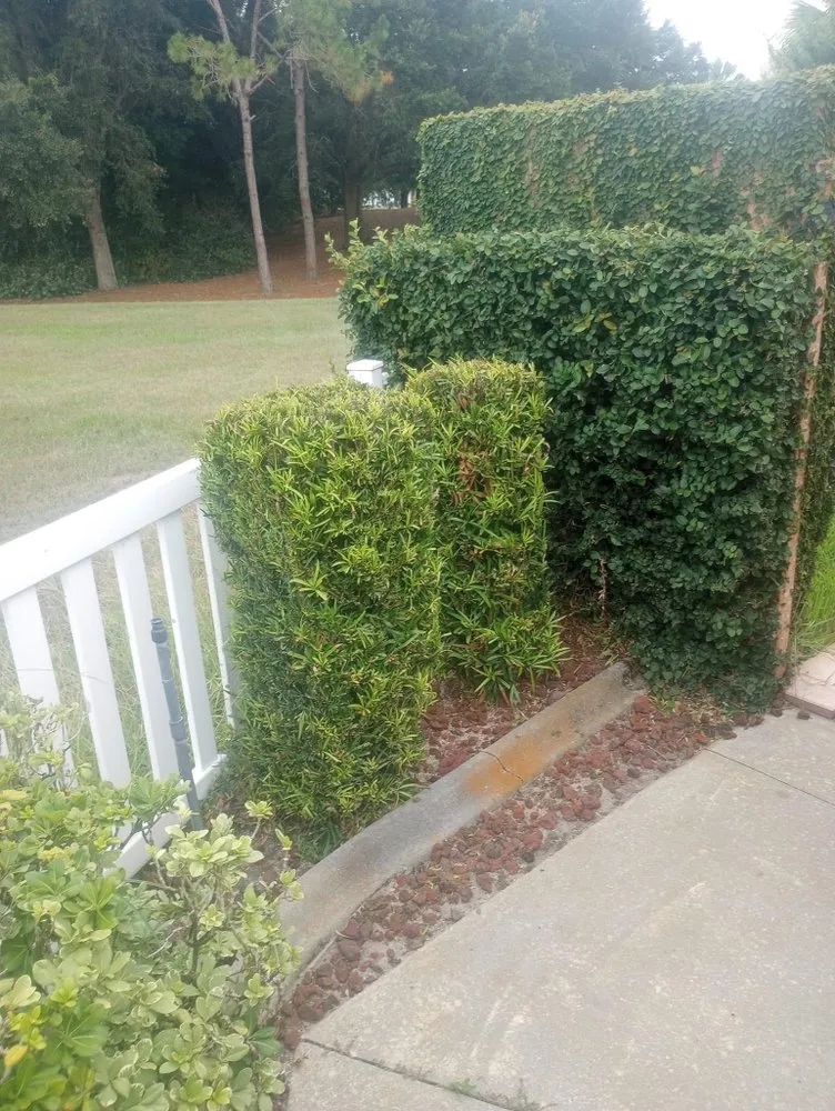 Reliable residential landscaping in Ocala, FL by Zero’s Lawn & Landscaping