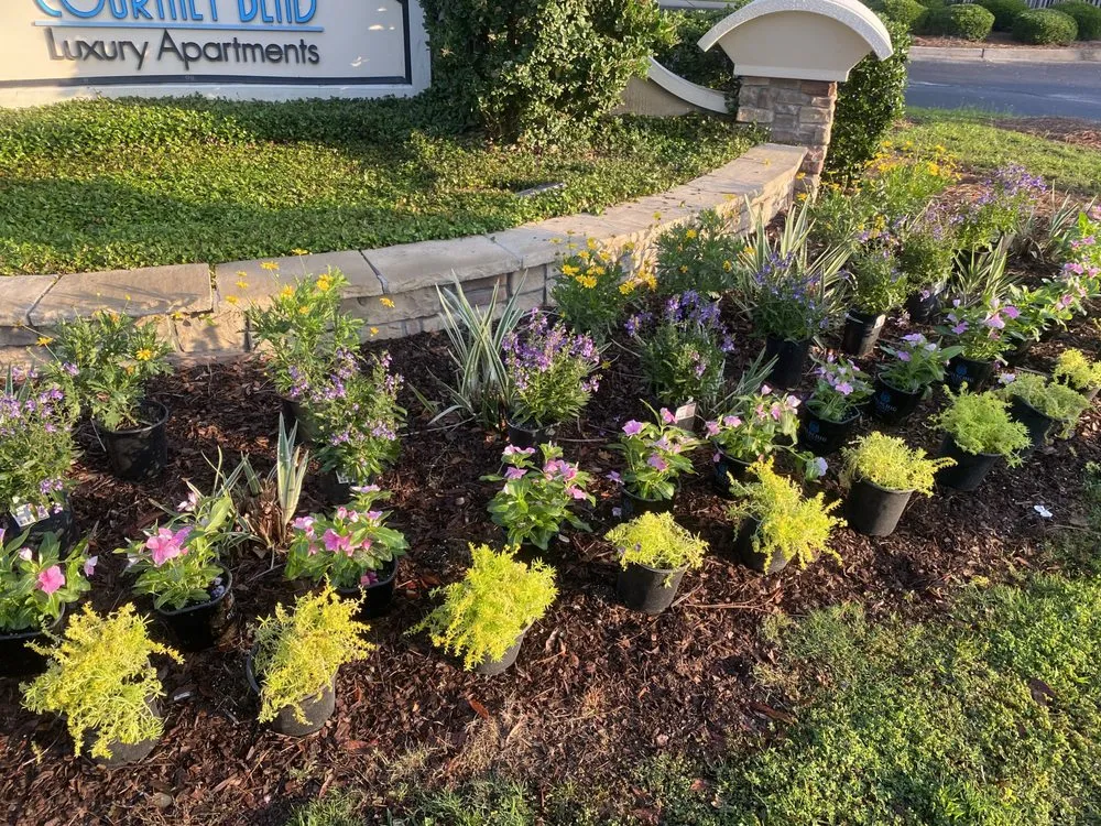 Local garden landscaping experts serving Savannah, GA - Zeroto Group Landscaping