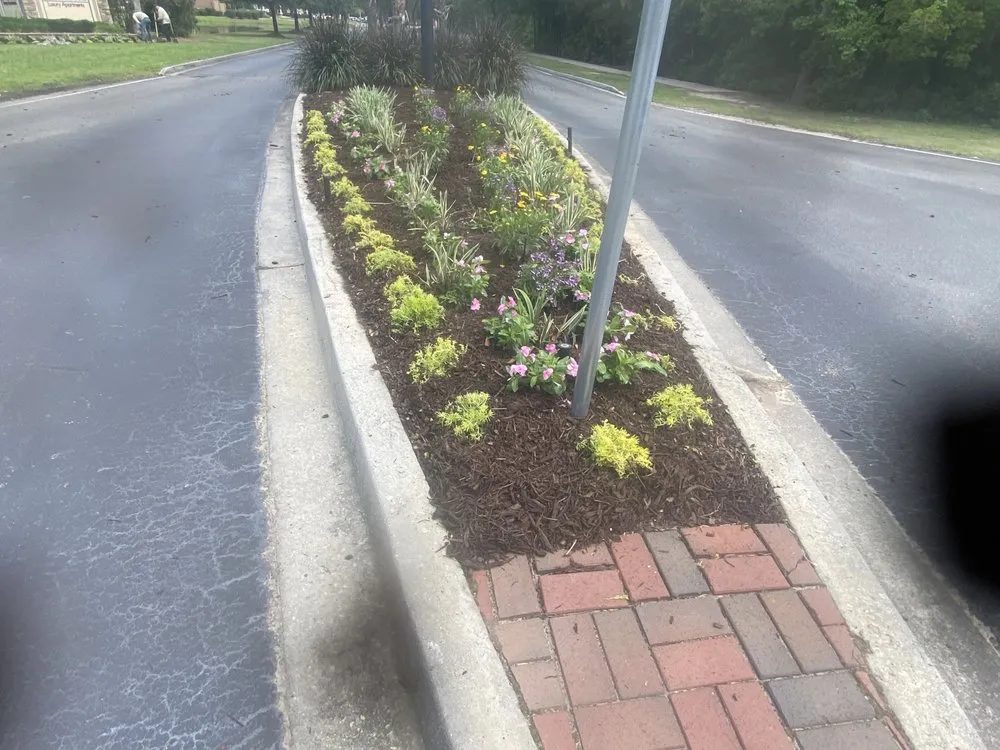 Reliable lawn care service for year-round maintenance in Savannah, GA by Zeroto Group Landscaping