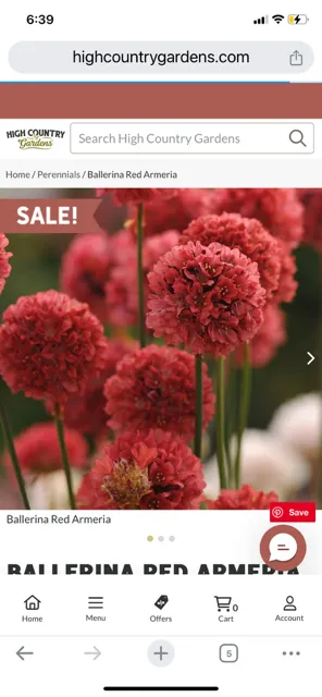 Affordable residential landscaping in Savannah, GA by Zeroto Group Landscaping