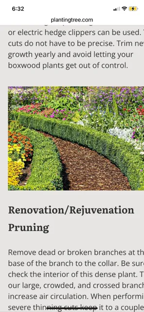 Professional landscaping services in Savannah, GA by Zeroto Group Landscaping