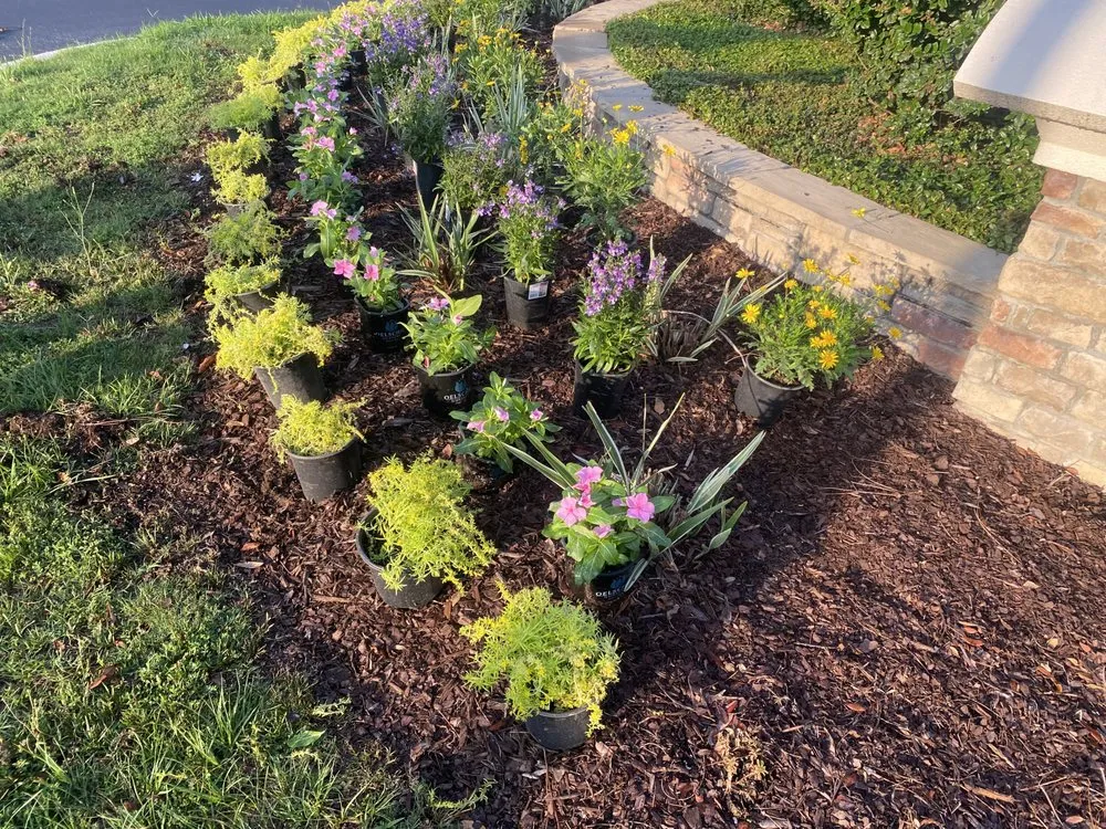 Top-rated landscaping services for residential properties across Savannah, GA - Zeroto Group Landscaping