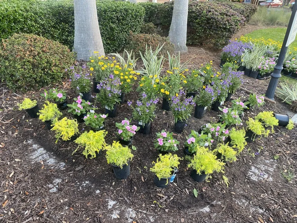 Local landscaping services in Savannah, GA by Zeroto Group Landscaping