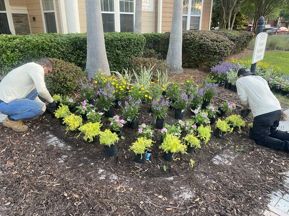 Affordable lawn care service in Savannah, GA - Zeroto Group Landscaping