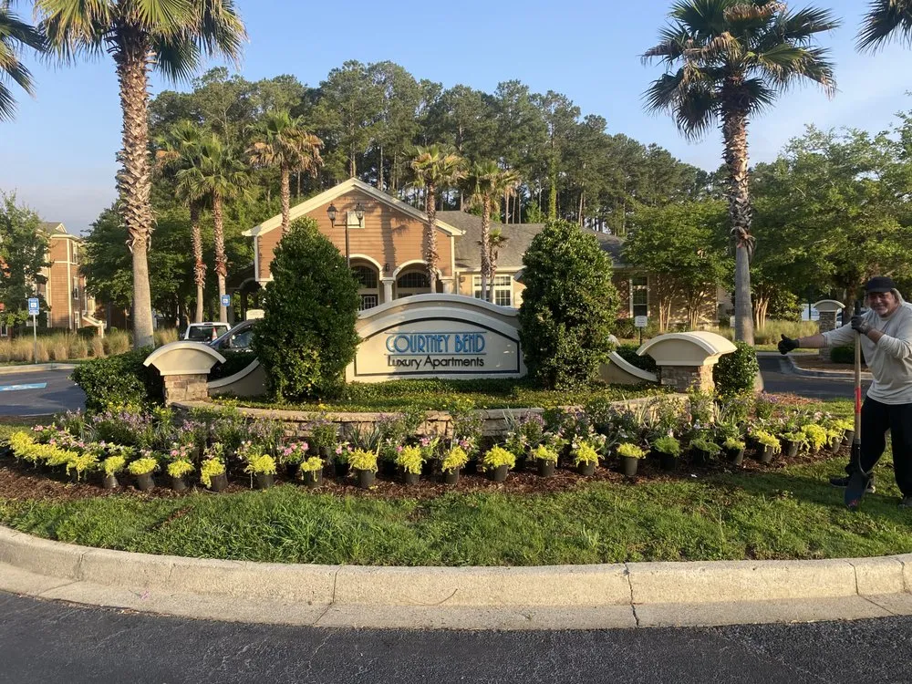 Custom yard cleanup service in Savannah, GA by Zeroto Group Landscaping