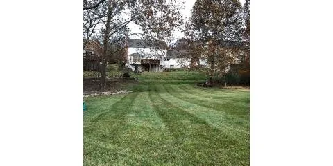 Professional landscape design in St. Louis, MO by Zerr Lawn Care & Landscape