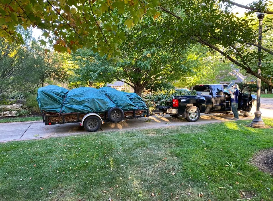 Professional yard cleanup service for residential properties in Lawrence, KS by Zerr Management
